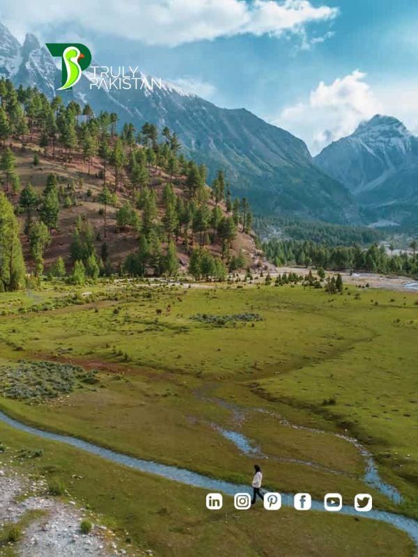 Basho Valley Skardu
