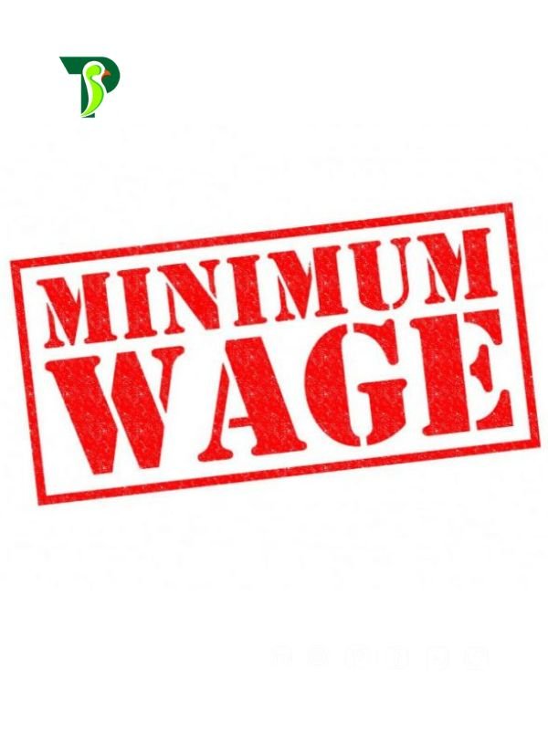 Minimum Wage in Pakistan