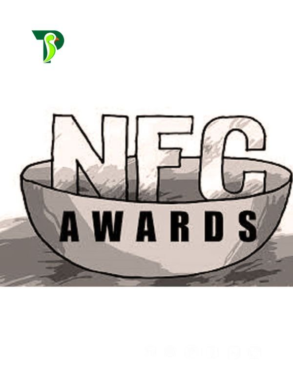What Is National Finance Commission